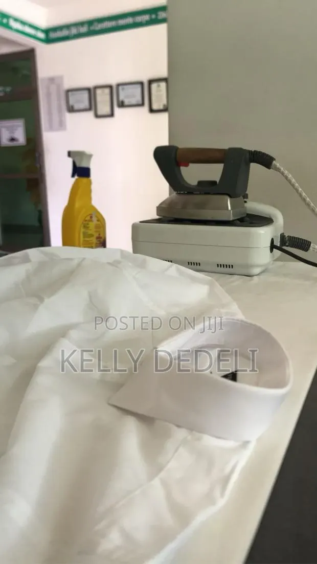 Express Laundry Services and Footwear Washing Lab
