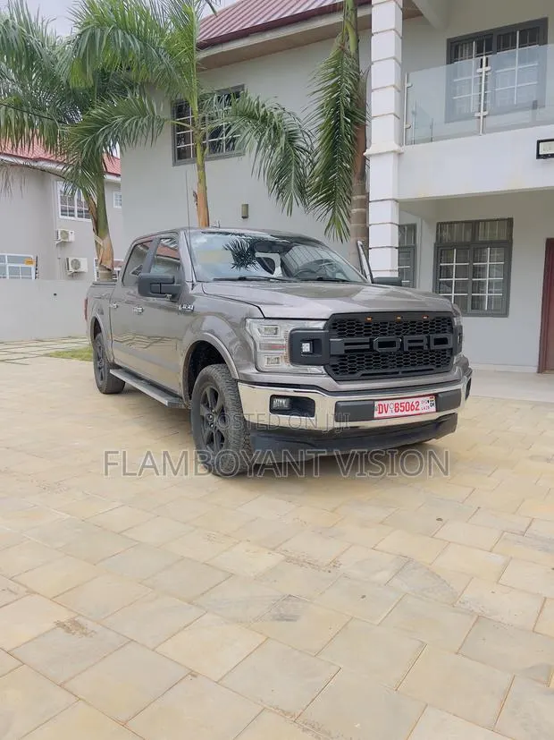 Ford F-150 2018 Gray · Photo 1