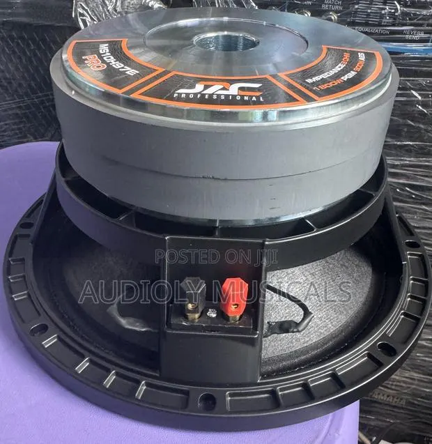 Double Magnet 10-Inches Naked Speaker · Photo 1