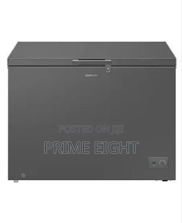 The Samsung 287L Chest Freezer (Model RI70F29V1GAGH)dark Gray Freezer · Photo 1
