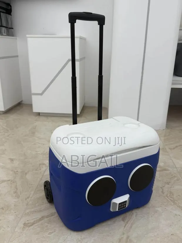 Imported Modernised Ice Chest With Music Speaker · Photo 1