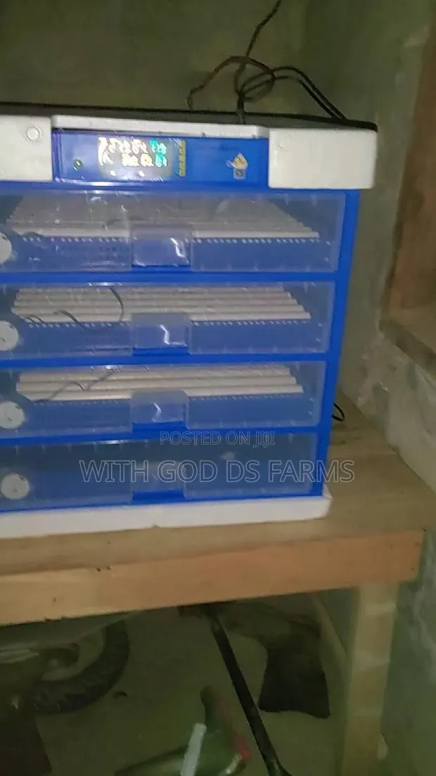 Automatic Egg Incubator Available · Photo 1