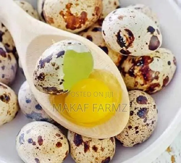 Quail Eggs · Photo 1