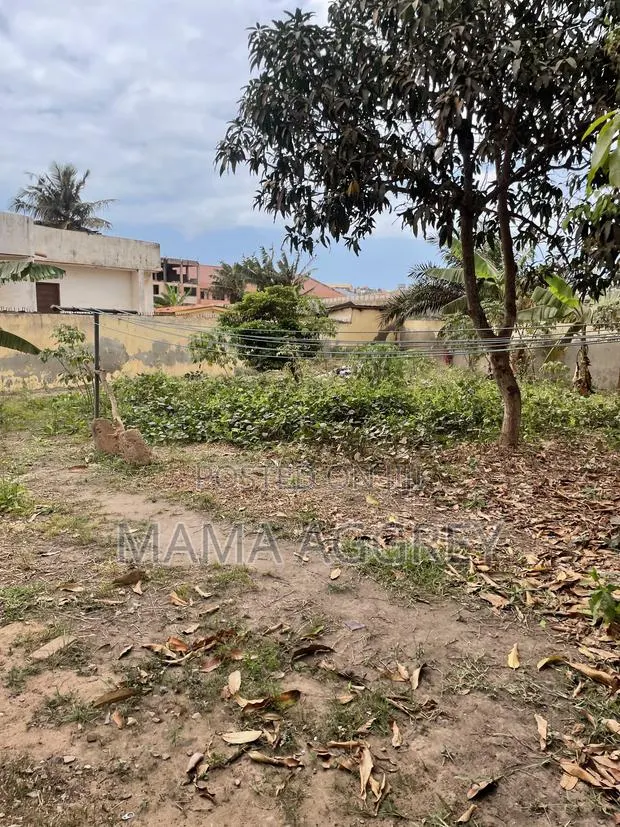 2 Acre of Land for Sale · Photo 1