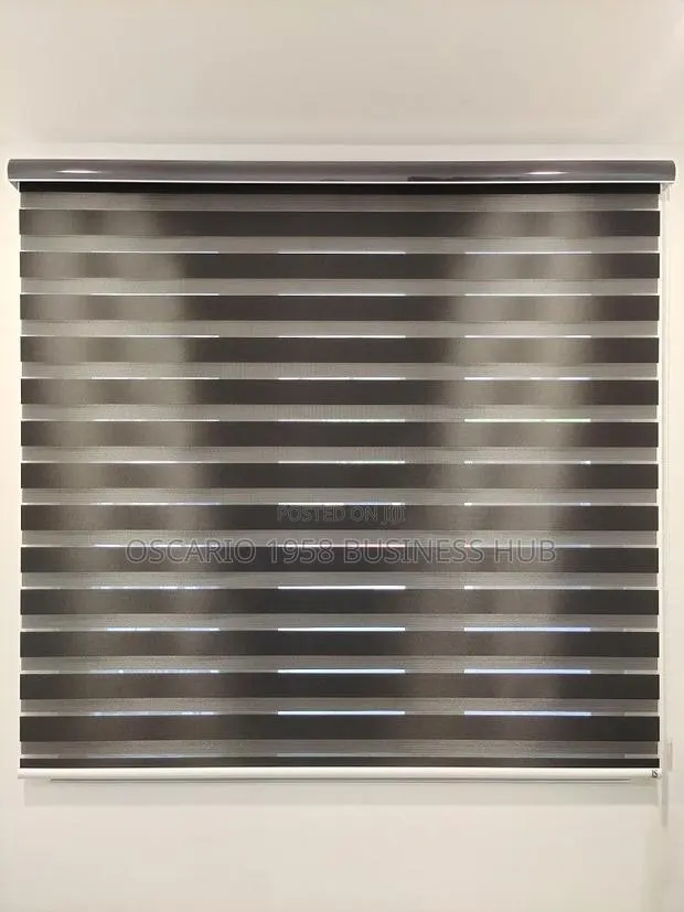 Pathetic Window Curtain Blinds · Photo 1