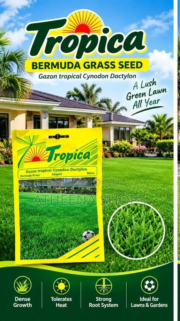 Carpet Grass Seeds (Bermuda) · Photo 1