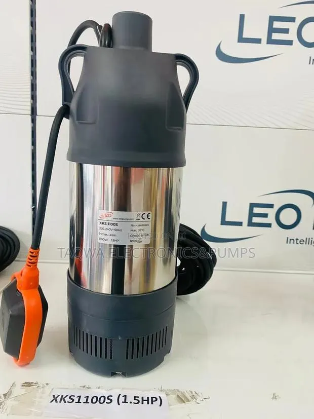 Affordable Leo 1.5hp Garden Submersible Stainless Pump · Photo 1