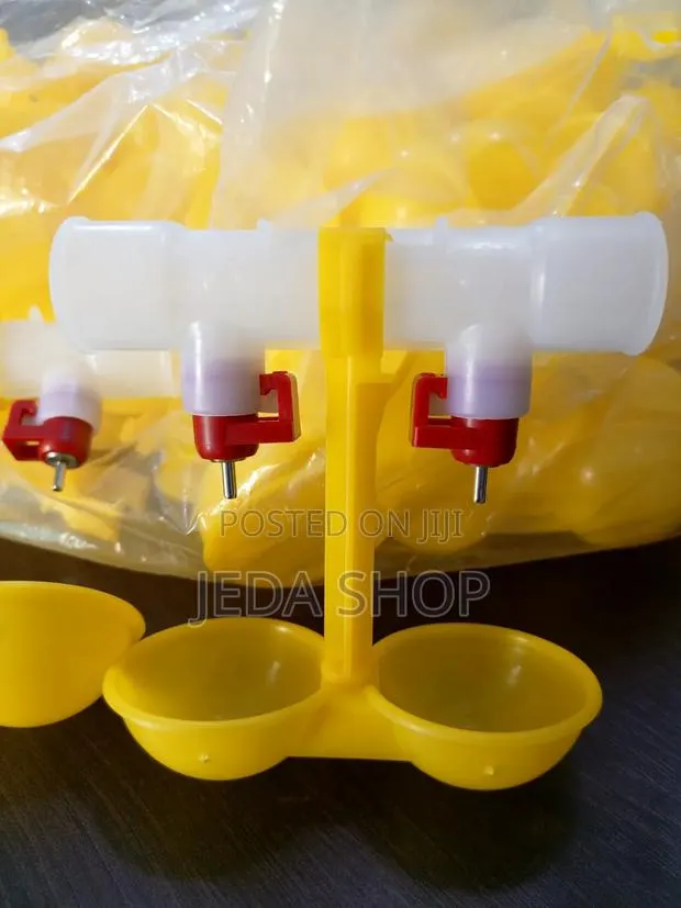 Double Cup Drinker