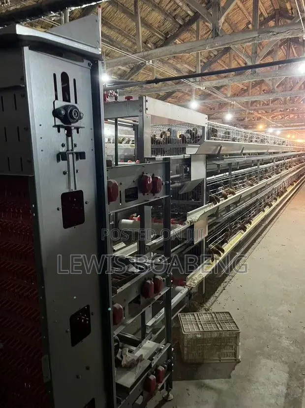 Battery Cages · Photo 1