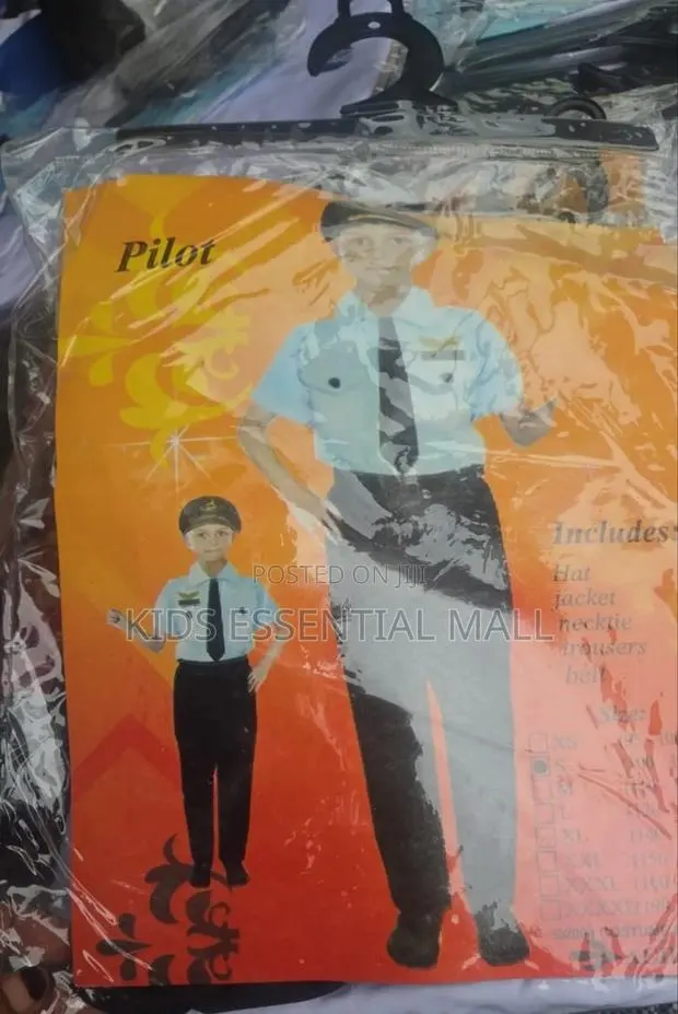 Pilot Costume for Kids Career Day · Photo 2
