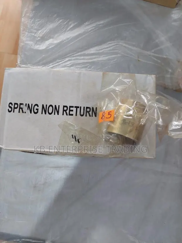 T-Uk Spring Non-Return Brass Check Valve · Photo 1