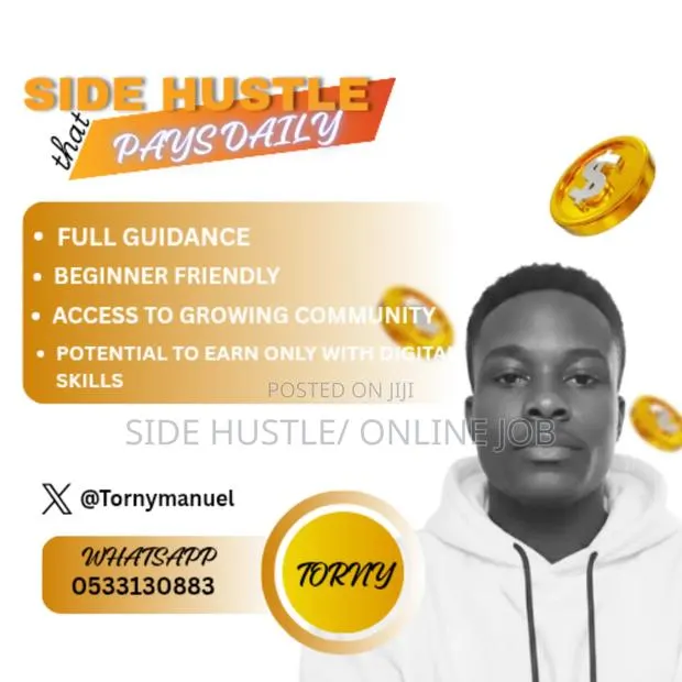 Side Hustle That Pays Daily – No Skills Required!” · Photo 1