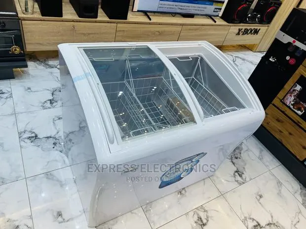 Nasco Double Door Sliding Door Nas-Fs500g Display Freezer · Photo 1