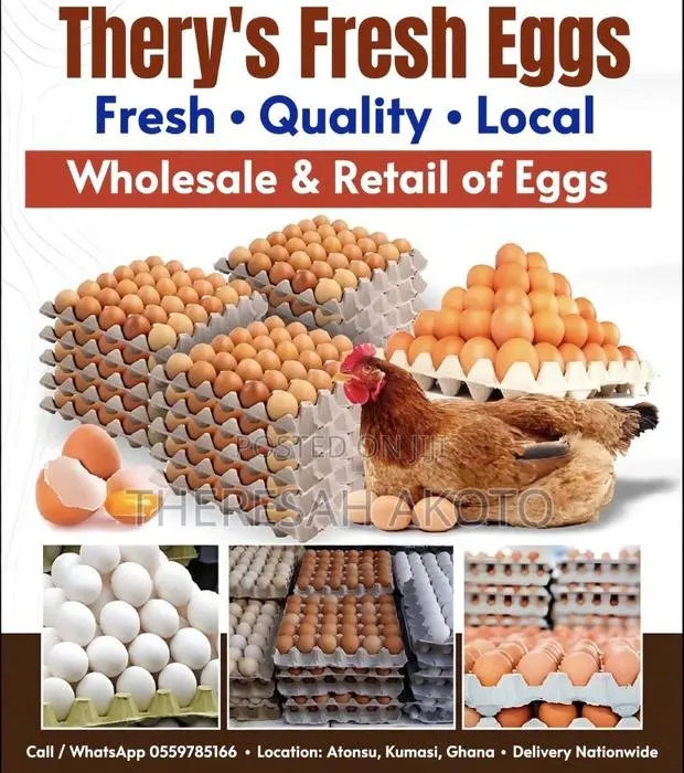 Fresh Eggs · Photo 2