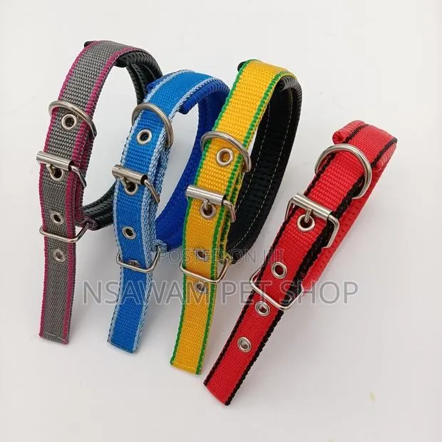 Nylon Collar for Small Dogs · Photo 1