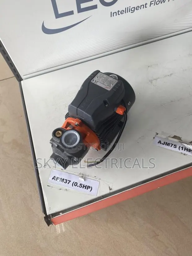 Massive Leo APM37 0.5hp Water Pump · Photo 1
