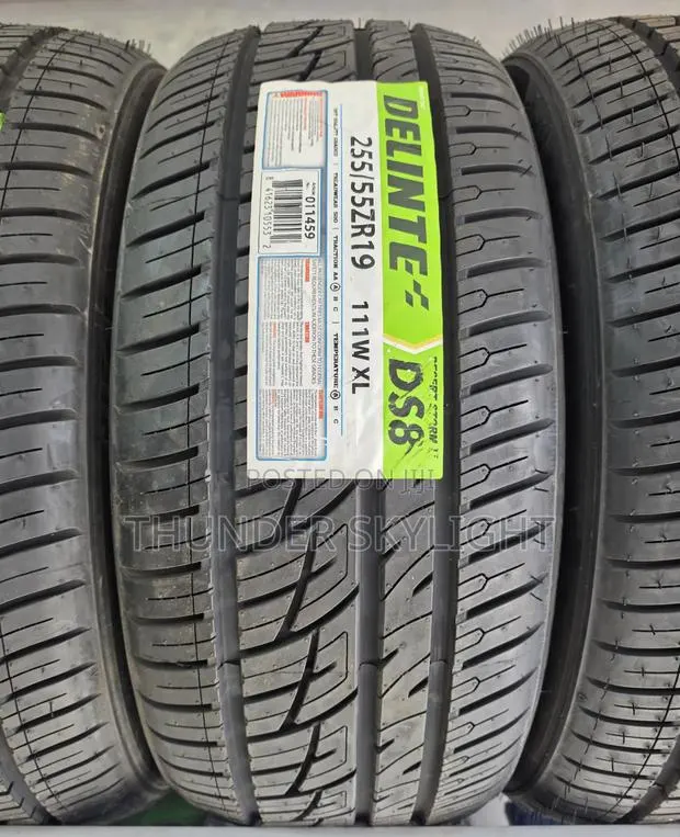 255/55zr19 Delinte Ds8 Desert Storm Ii 111w Xl SUV Tyre · Photo 1
