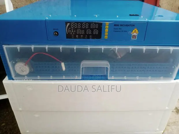 300 Egg Incubator · Photo 2