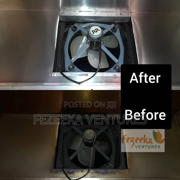 Professional Cleaning Service · Photo 1