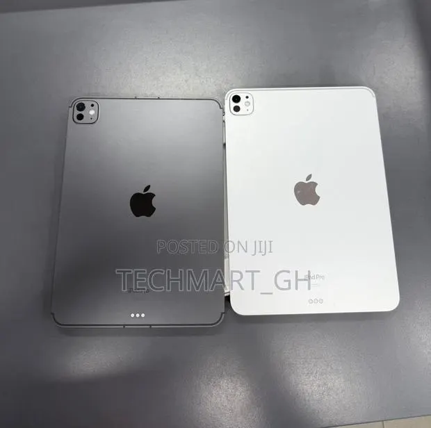 Apple iPad Pro 11 (2024) 256 GB Gray · Photo 1