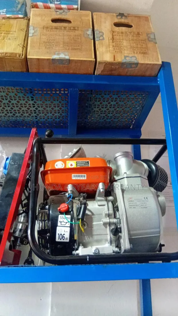Reliable Leo 6.5hp Pump – No Stress Water Flow · Photo 1