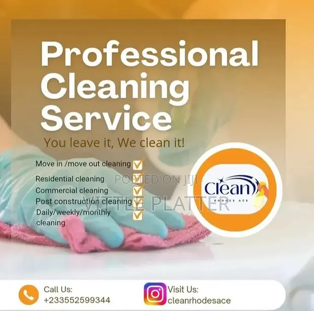 Professional Cleaning Service · Photo 1