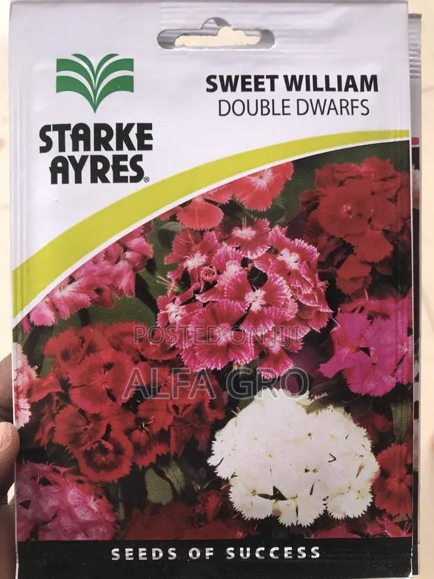 Sweet Scented Flower Seeds(3 in 1) · Photo 2