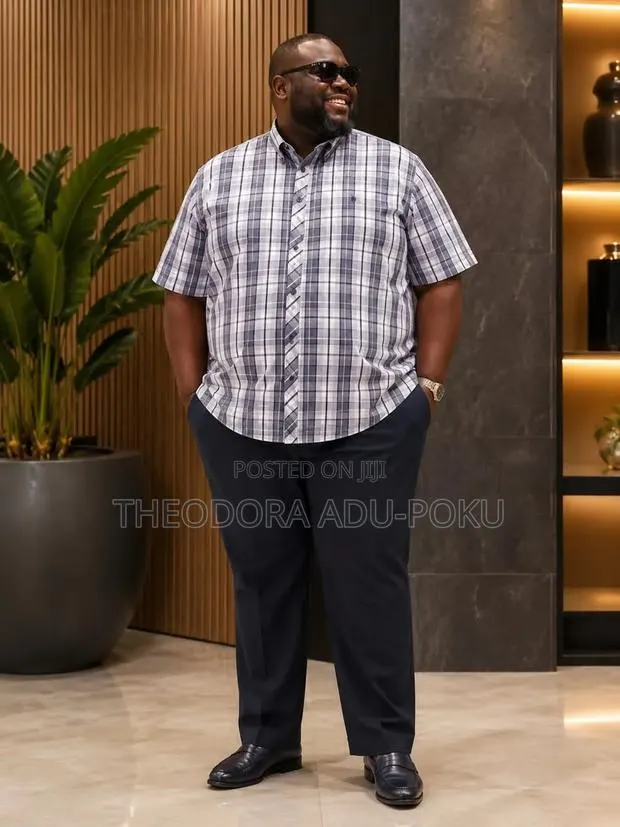 Men Plus Sizes Short Sleeves Shirts · Photo 1