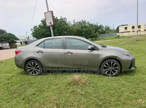 Toyota Corolla 2019 Gray · Photo 1