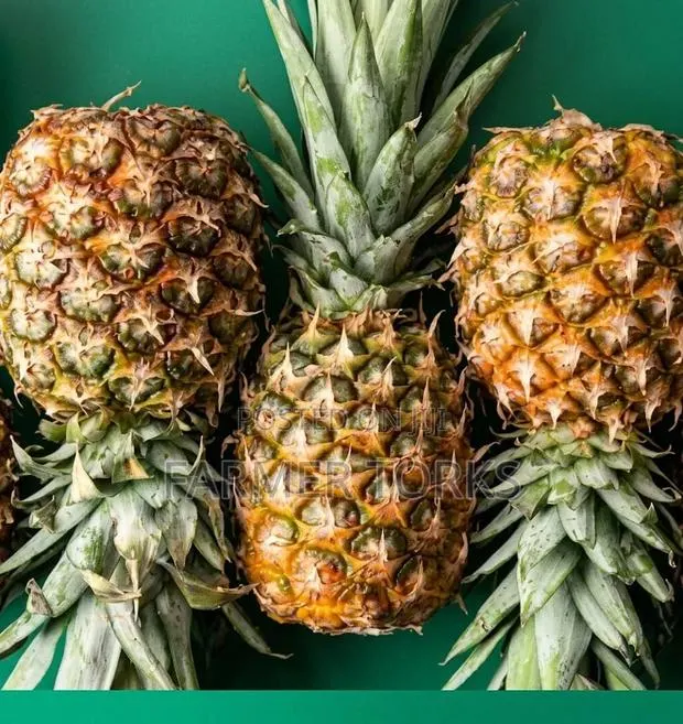Pineapple · Photo 1