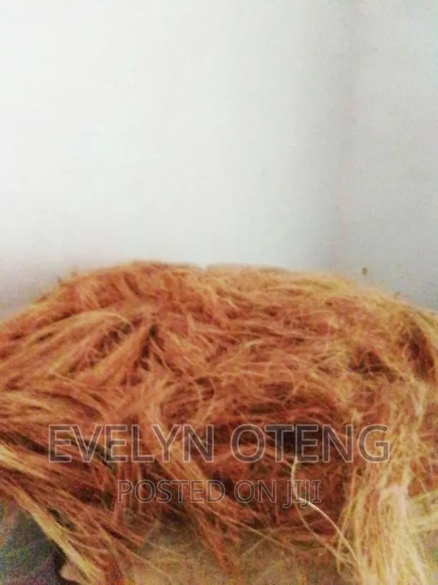 Treated Coconut Fibre · Photo 1