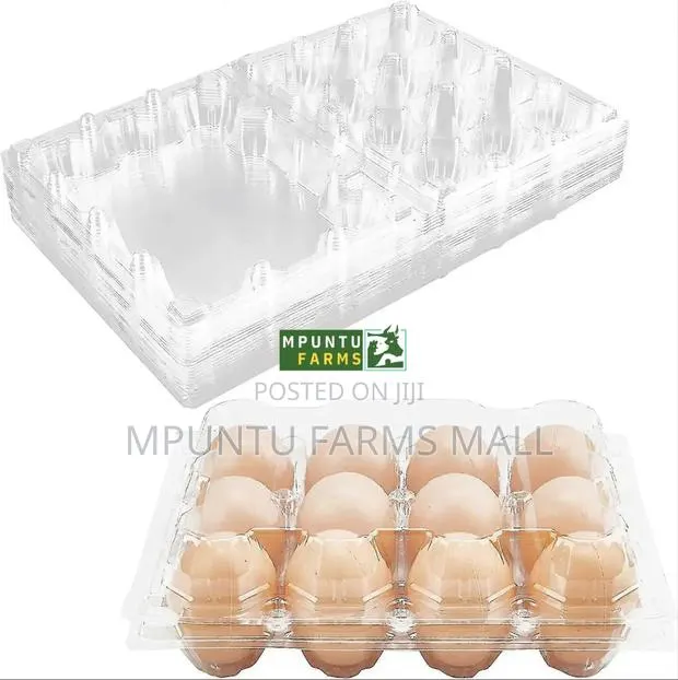 12 Holes Transparent Egg Crates · Photo 1