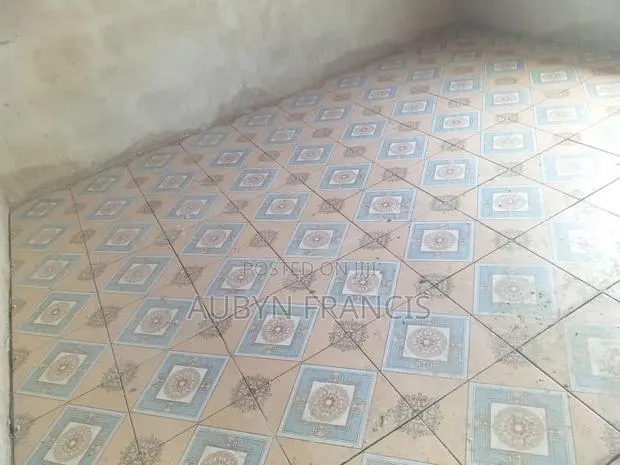 Professional Tiler and PVC Tile Installation · Photo 1
