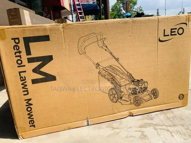 With Grass Box _Leo 5.5hp Lawn Mower · Photo 1