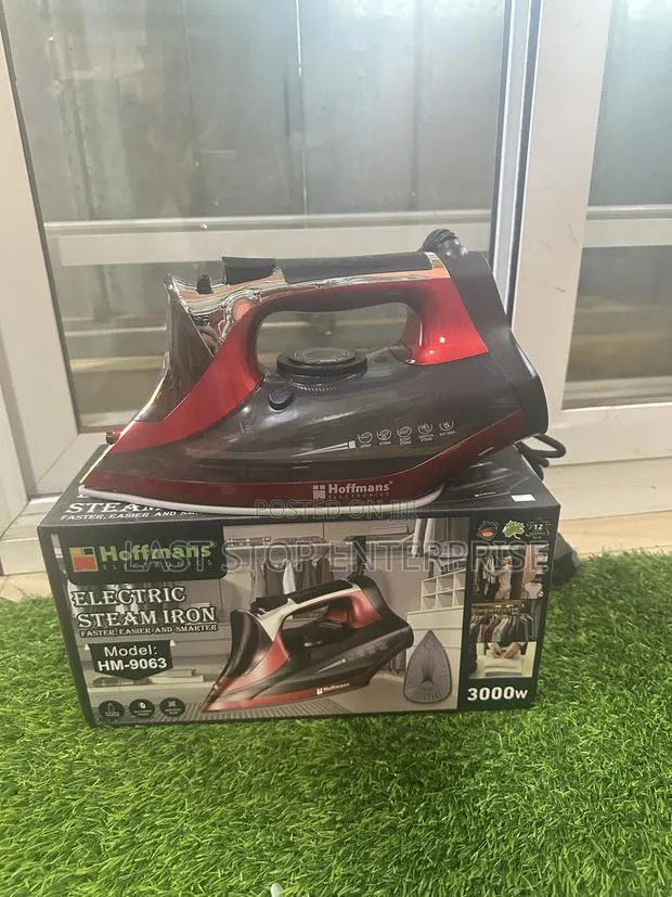 Quality and Classic Hoffman’s Electric Steam Iron · Photo 1