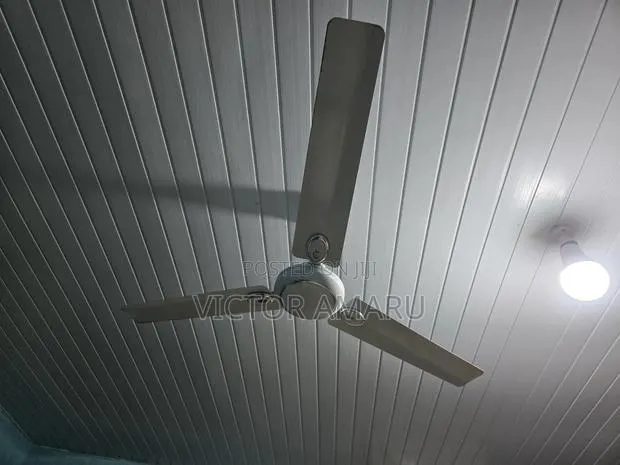 Ceiling Fan for Sale · Photo 1