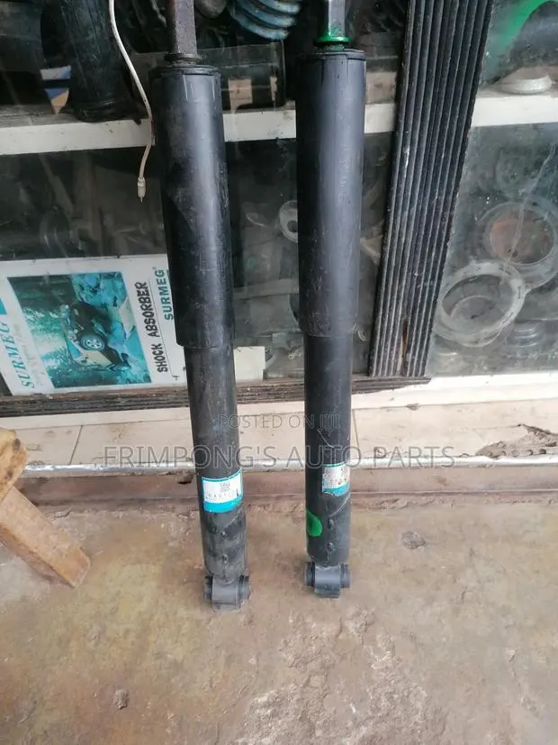 Nissan Patrol Platinum 2010 to 2019 Back Shocks Absorbers · Photo 1