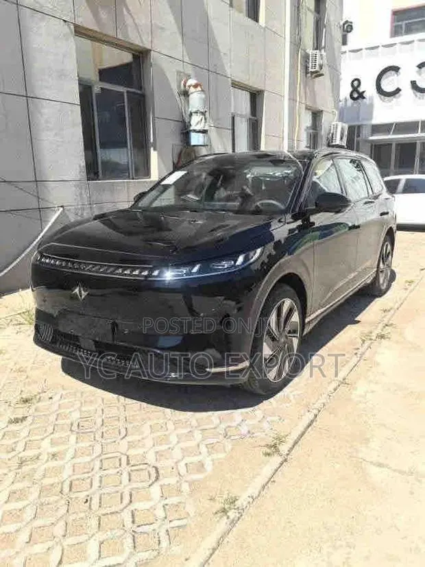 Dongfeng Yipai 008 Max 2025 Black · Photo 1