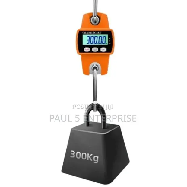 Wholesale And Retail 300kg Hanging Scale · Photo 1