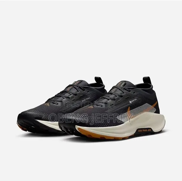 Original Nike Pegasus Trail 5 Goretex Black/White · Photo 1
