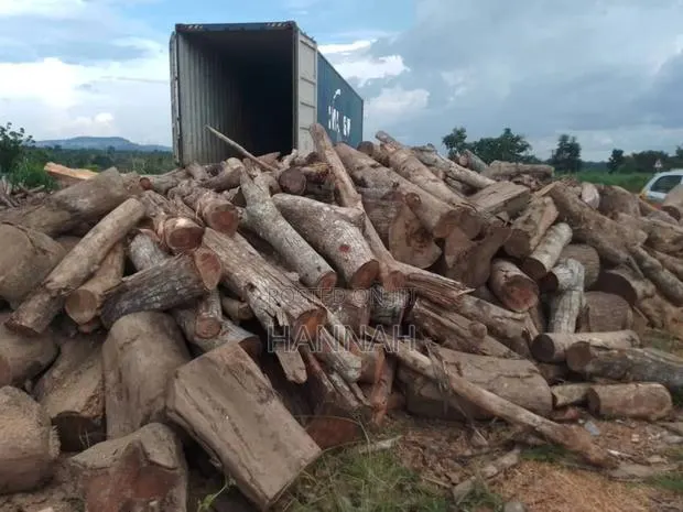 Firewood ( Cedriella ) for Sale · Photo 1