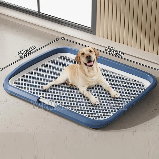 Dog Potty Tray · Photo 1