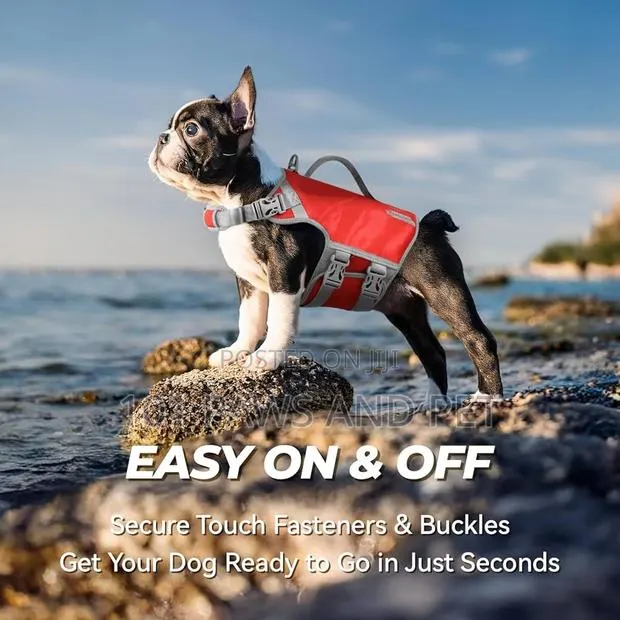 Dog Life Jacket · Photo 1