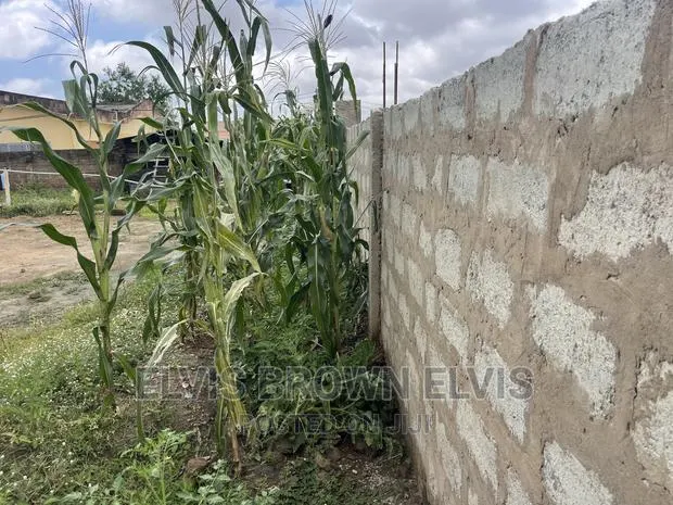 Buy Land at East Legon Santeo or NMIADJORN · Photo 1