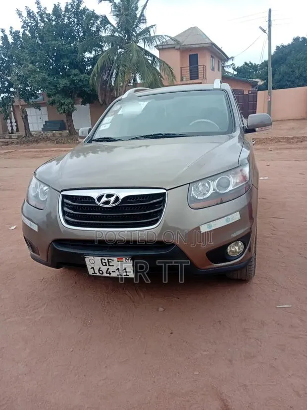 Hyundai Santa Fe 2010 Gray · Photo 1