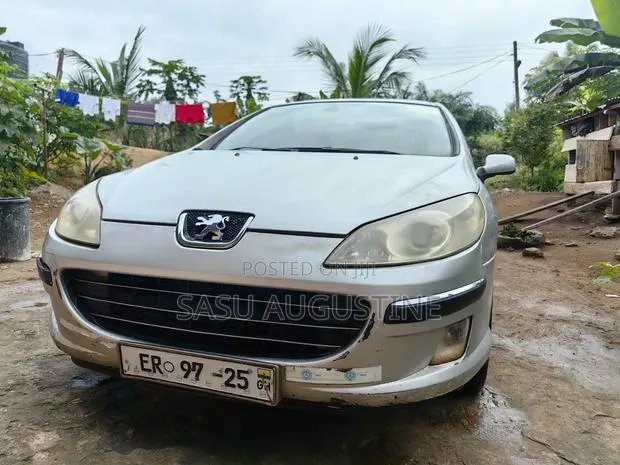 Peugeot 407 2007 Gray · Photo 1