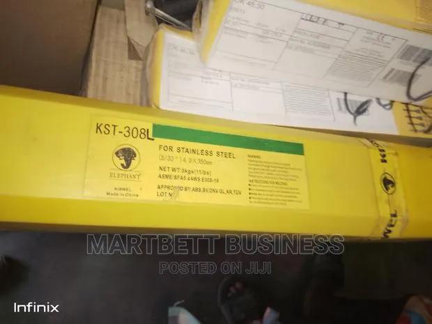 Stainless Steel Electrodes · Photo 1