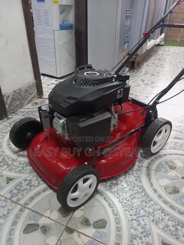Excellent Gasoline Lawn Mower LM46 Engine 4.5hp · Photo 1