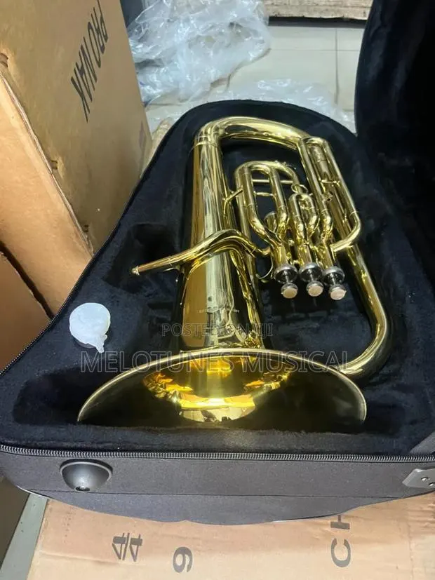 Yamaha Professional Euphonium · Photo 1