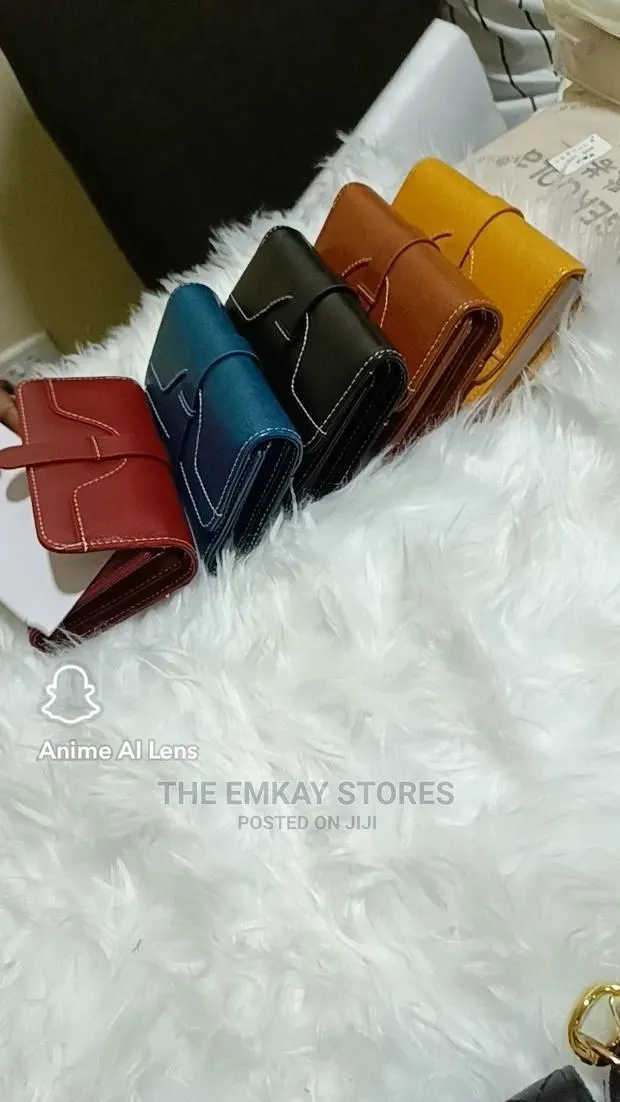 Lady's Purse · Photo 1